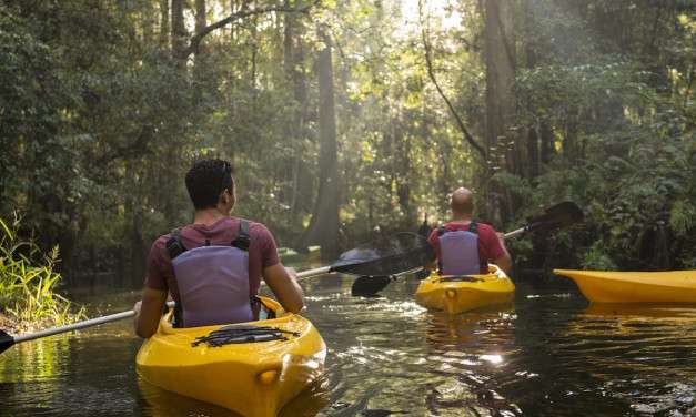 Kayak Through a Florida Cypress Swamp with Adventures by Disney