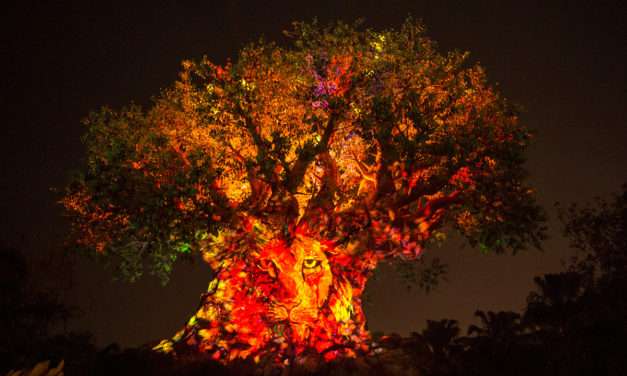 First-Ever Night Experiences at Disney’s Animal Kingdom Begin May 27