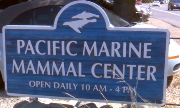 Disneyland Resort Donates $60,000 to Pacific Marine Mammal Center in Laguna Beach, California on Earth Day