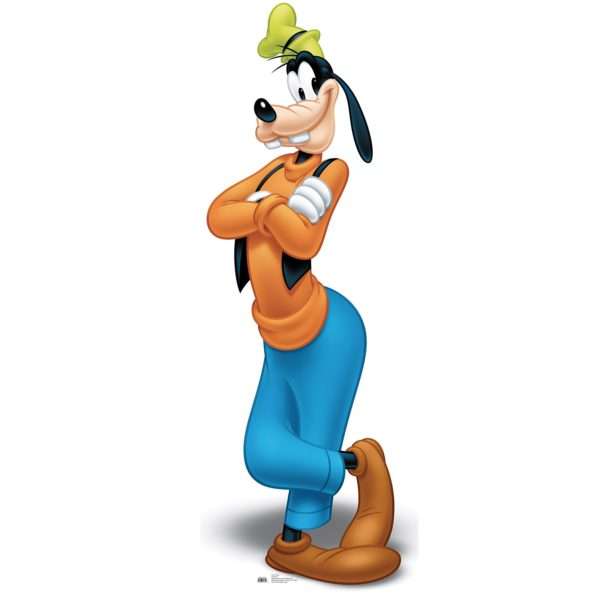 A real “Goofy” character… | Mickey News