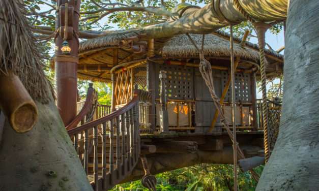 A Fabulous 45th: The Swiss Family Robinson Treehouse