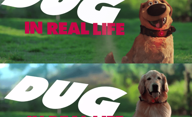 Voice of “Dug” from Disney-Pixar’s “Up” Reprises Role to Launch Disney IRL Series, Debuting Today