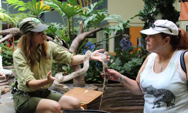 Top 10 Reasons to visit Rafiki’s Planet Watch at Disney’s Animal Kingdom