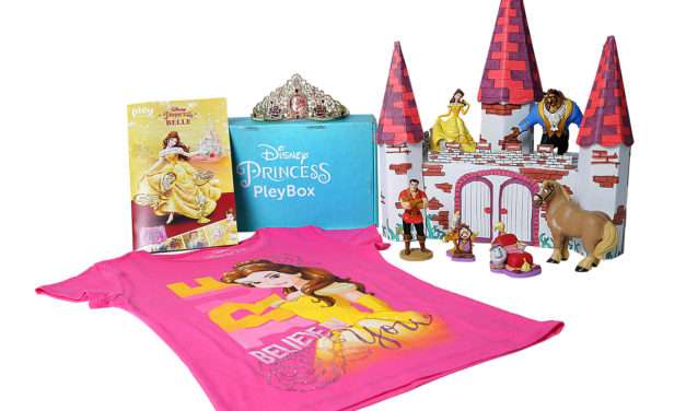 Disney Princess Mystery Box Service Launches From Pley.com