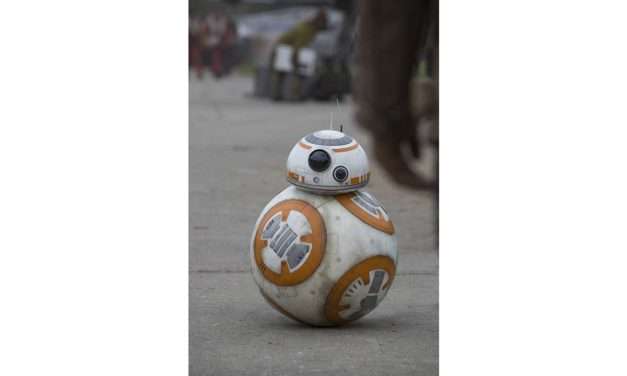 BB-8 To Greet Guests at Disney’s Hollywood Studios This Spring