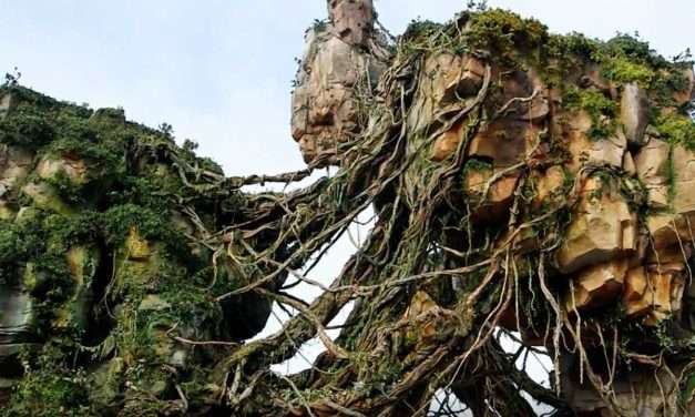 ‘Placemaking’ Pandora – The World of Avatar