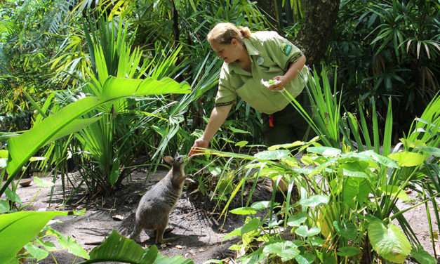 Celebrate Earth Month at Disney Parks and Resorts