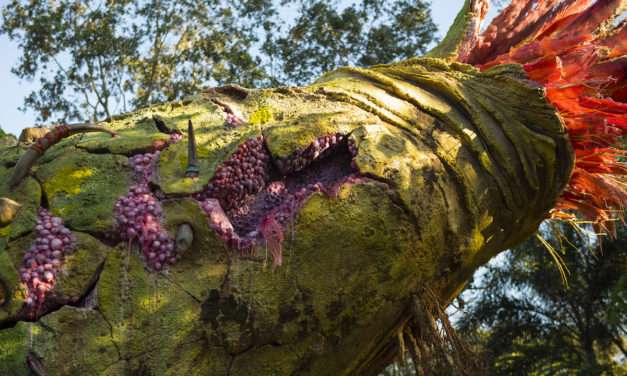 Populating Pandora – The World of Avatar With Plants & Animals