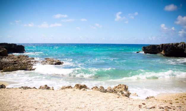 Experience Mexican Culture, Beauty and Cuisine in Cozumel