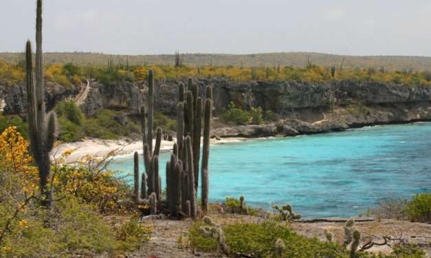 Adventures in Bonaire with Disney Cruise Line