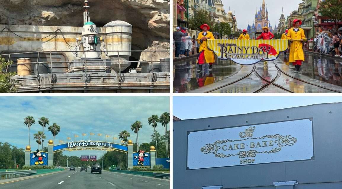 Exploring the Enchanting World of Disney: Updates from May 24, 2024