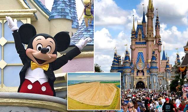Disneyland Dream Down Under: Speculation of Australian Park Quashed by Local Council
