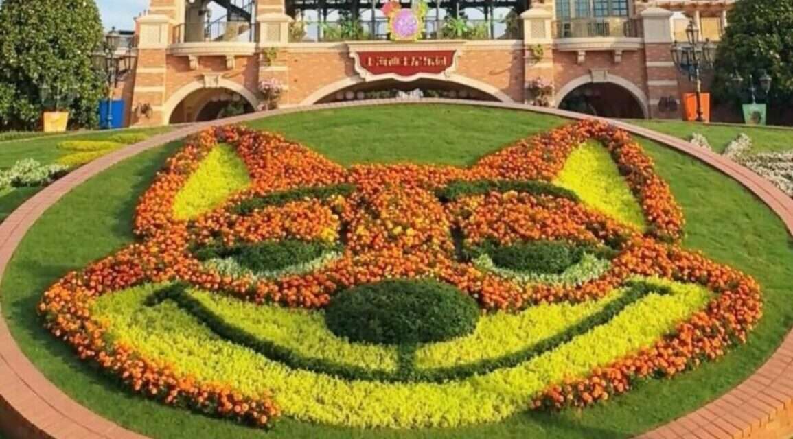 Shanghai Disneyland Blossoms with Nick Wilde’s Floral Debut, Embracing Zootopia Magic!