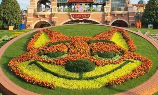 Shanghai Disneyland Blossoms with Nick Wilde’s Floral Debut, Embracing Zootopia Magic!