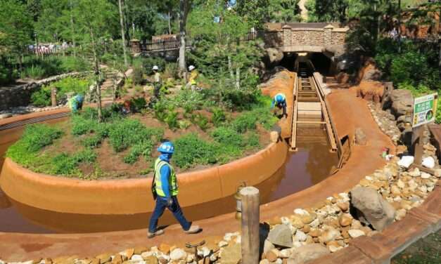 A Magical Transformation: Tiana’s Bayou Adventure Replaces Splash Mountain at Disney Parks