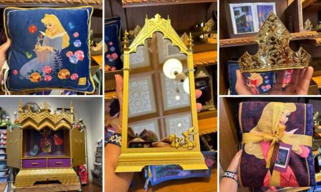 “Sleeping Beauty Home Collection by Ashley Taylor: A Touch of Disney Magic for Your Home”