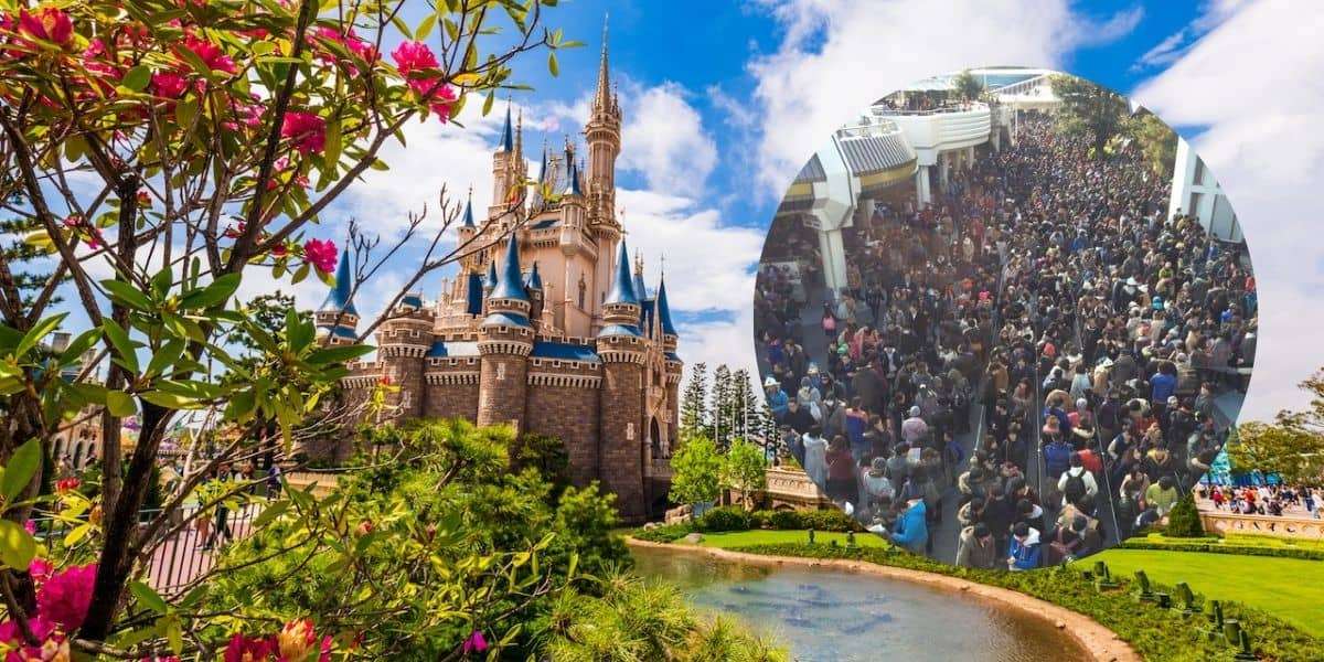 Tokyo Disney Resort Unveils Fantasy Springs: A Disney Fan’s Ultimate Dream