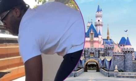 Unexpected Encounter at Disneyland: Table Mishap Sparks Social Media Frenzy