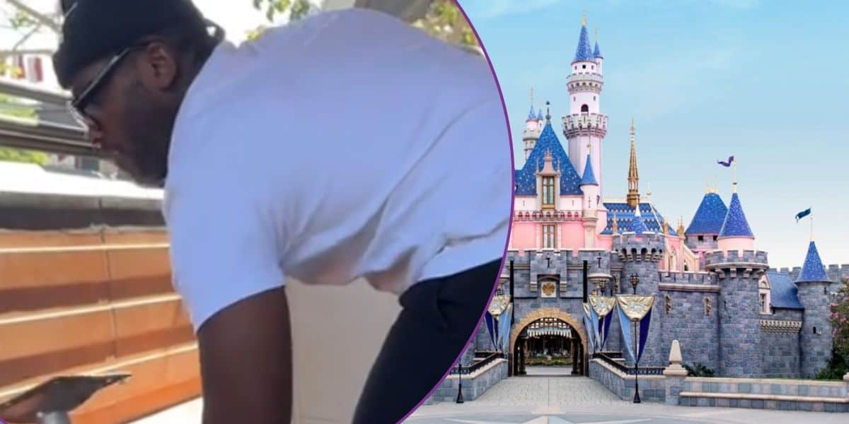 Unexpected Encounter at Disneyland: Table Mishap Sparks Social Media Frenzy