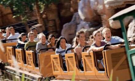 Extreme Reactions: Line-Cutting Chaos at Disney Parks