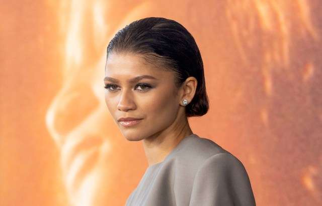 Zendaya’s Missed Opportunity: How Her Career Could Have Been Different with a Role in “Descendants”