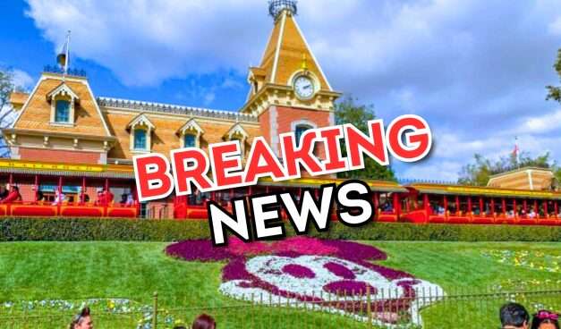 Disneyland Cast Members Celebrate Historic Victory with 31% Pay Increase