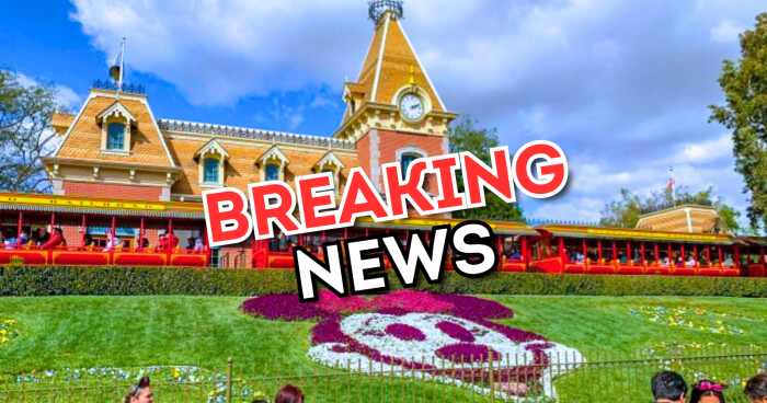 Disneyland Cast Members Celebrate Historic Victory with 31% Pay Increase