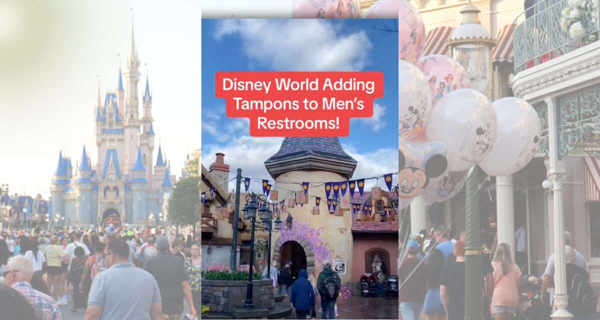 Walt Disney World’s Tampon Tale: Separating Fact from Fantasy