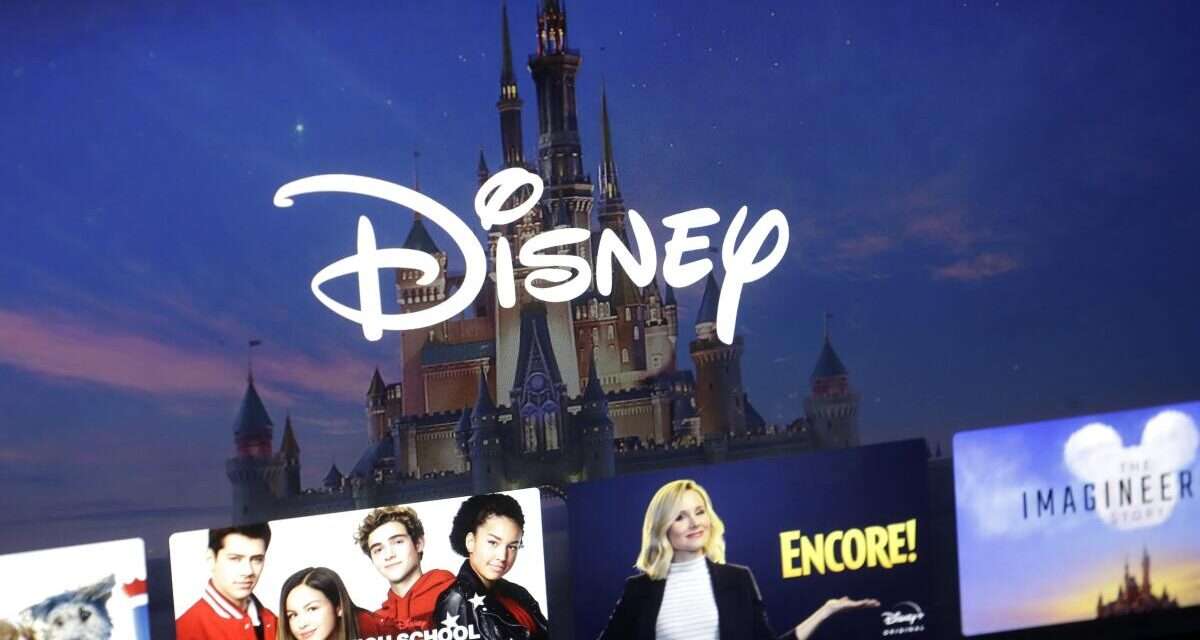 Disney Streaming Soars While Parks Face Demand Dip