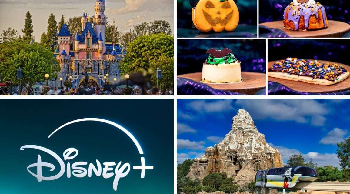 Magical Updates Across the Disney Universe: From Spooky Seasons to Financials