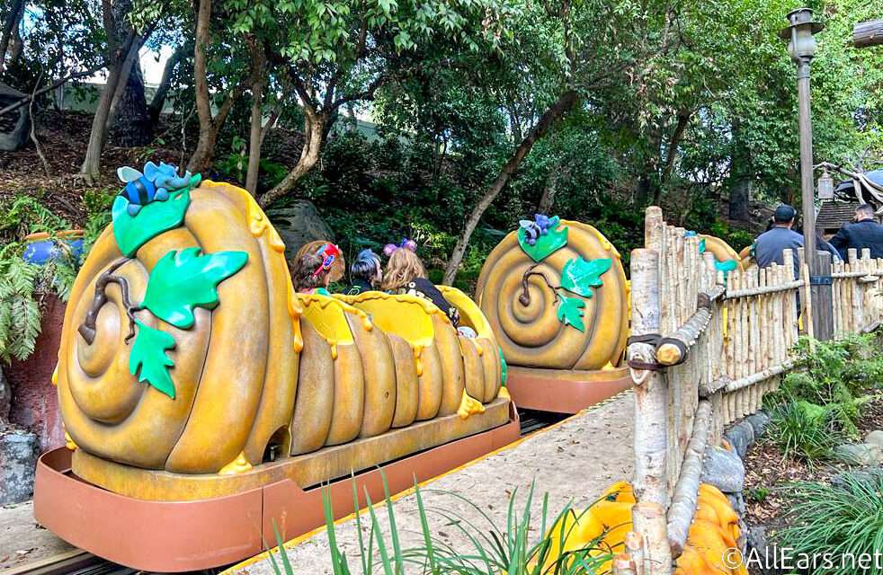 Disneyland’s Pooh Bear Faces Uncertain Future Amid New Bayou Adventure