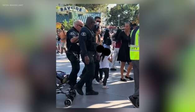 Dispute at Disneyland: Woman Arrested for Skipping Tickets! Share Your Thoughts!